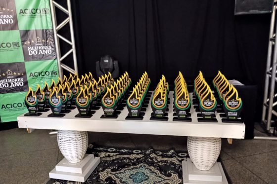 DESTAQUE DO ANO 2024